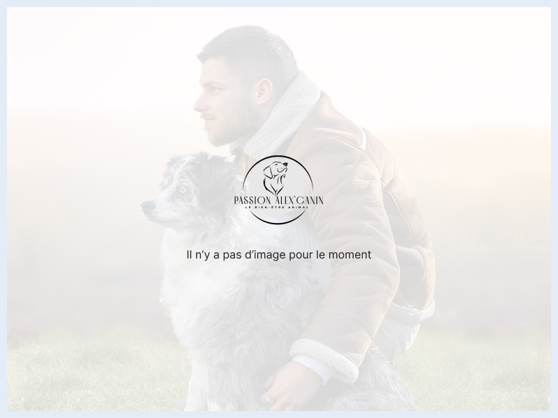 Educateur canin Gouvieux (60)