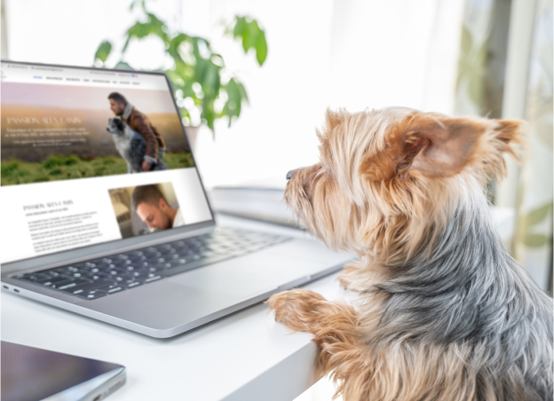 vision suivi canine à Us dans le Val d'Oise 95