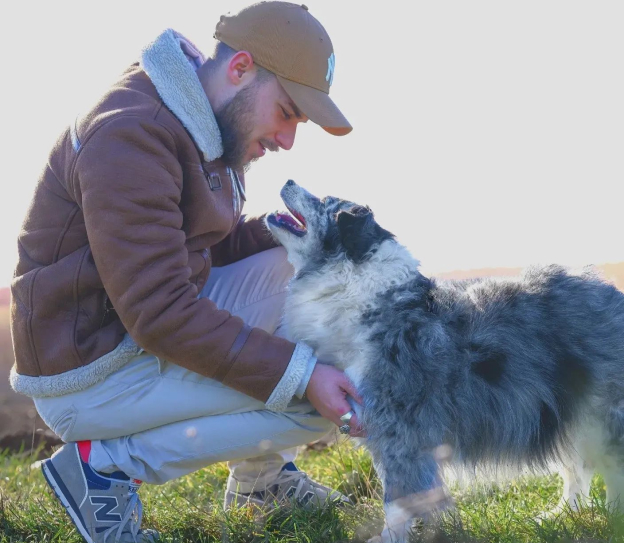 bilan comportemental canin à us dans le Val d'Oise 95