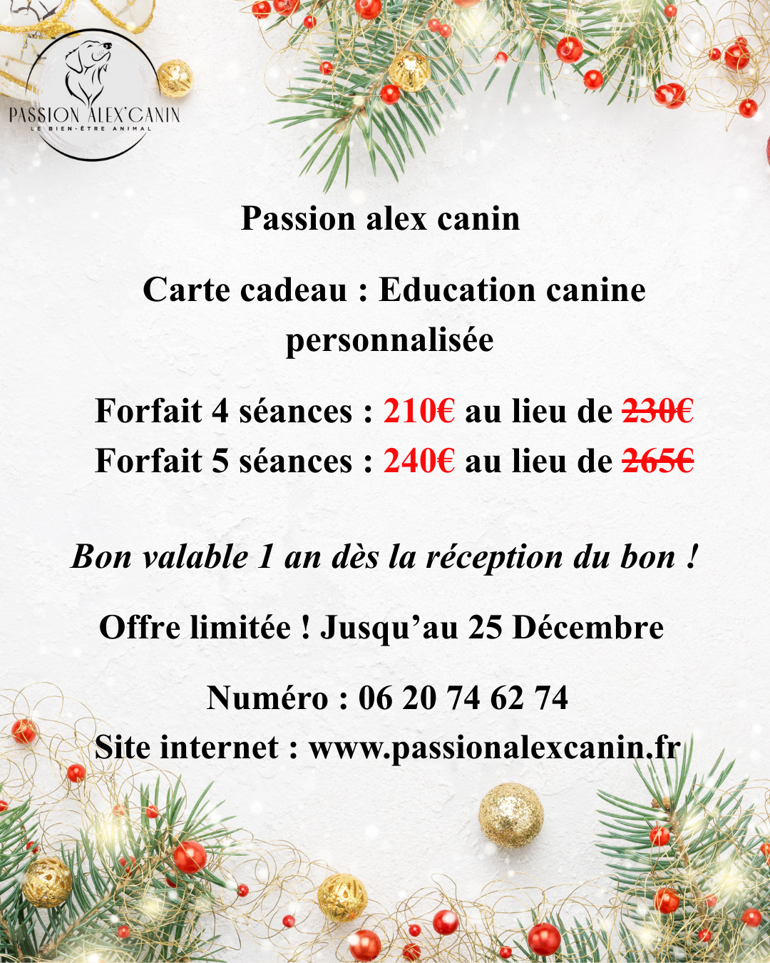 Bon cadeau de Noel !