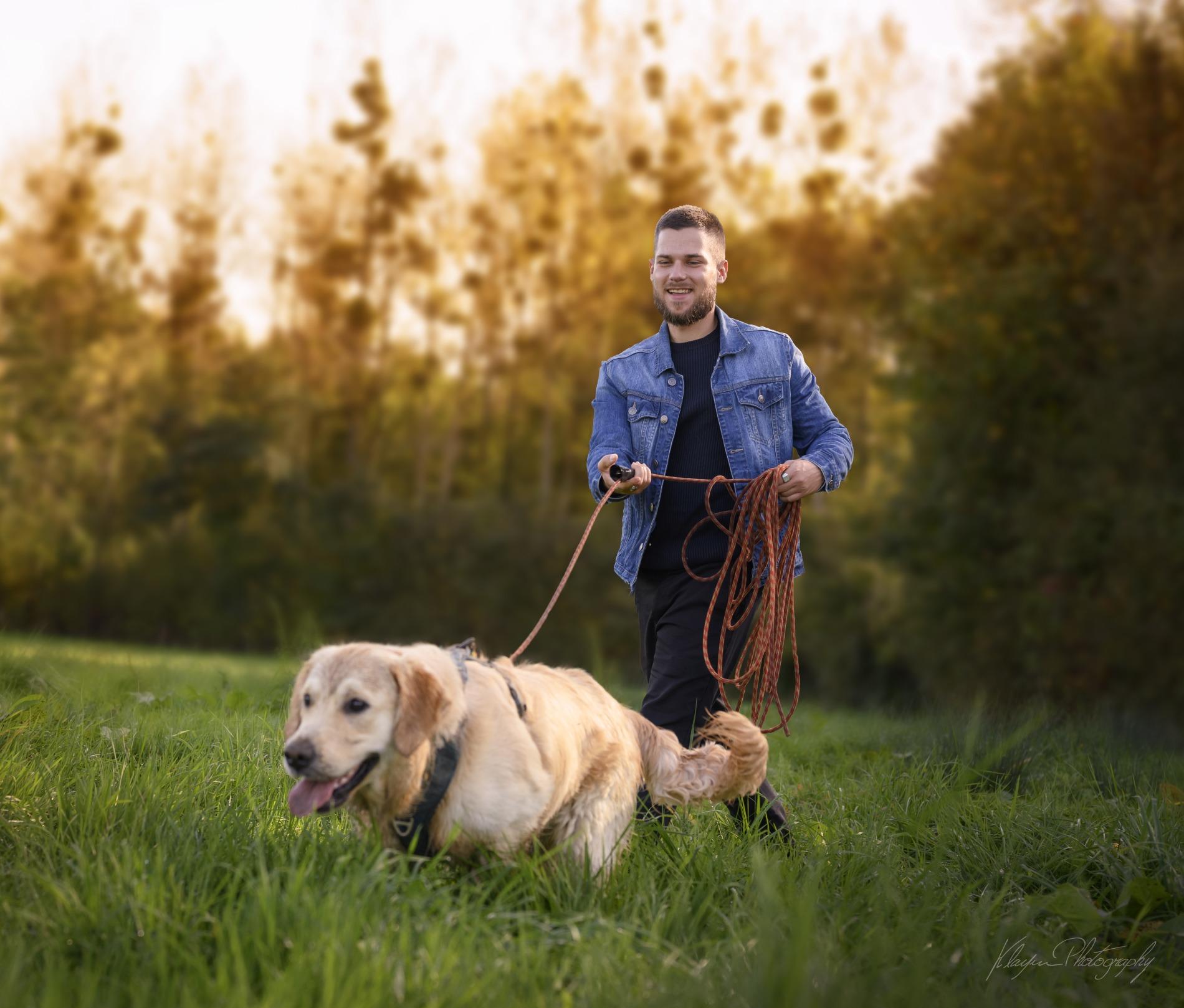 L’importance de balader son chien : conseils d’un éducateur et comportementaliste canin dans le Val d’Oise (95), les Yvelines (78) et l’Oise (60)